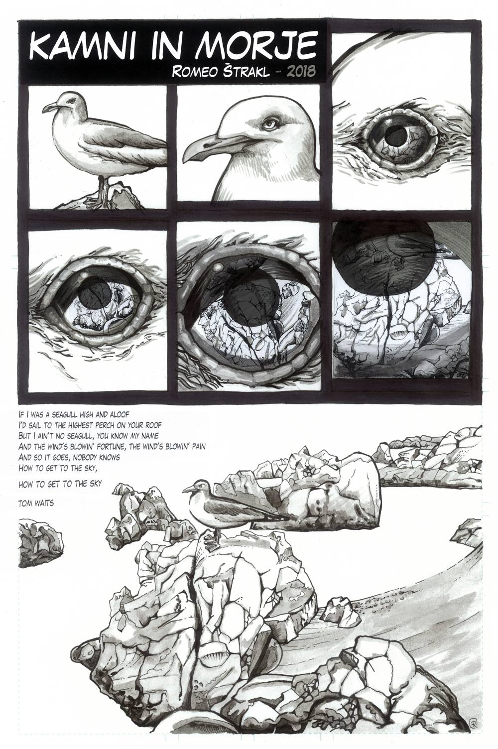 Strip kamni in morje 1